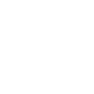 PJ Professionals